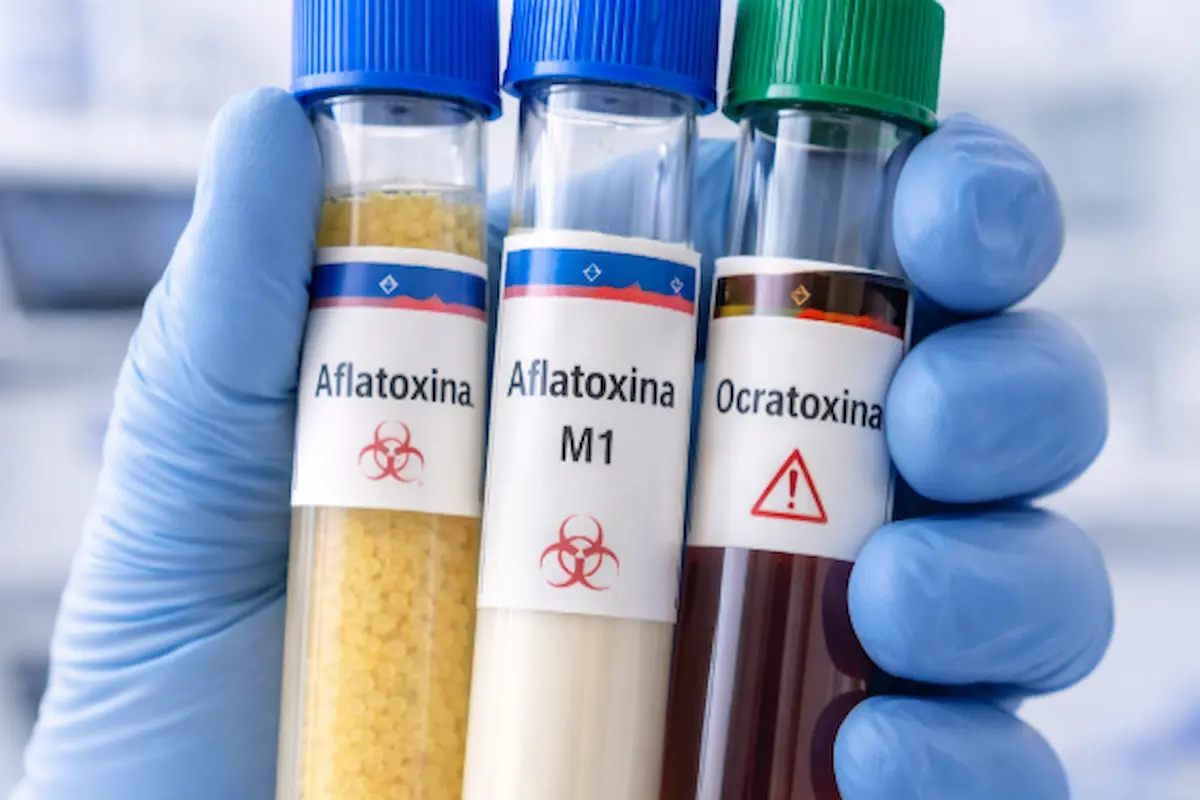 Micotoxinas en alimentos